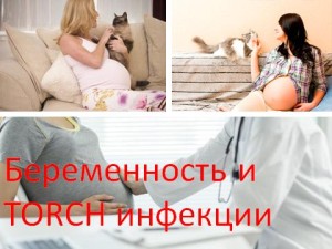 Беременность и TORCH инфекции