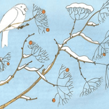 Конспект логопедического занятия «Птицы зимой»