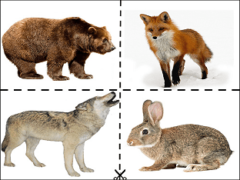 Конспект комплексного развивающего занятия для детей 2-3 лет «Дикие звери: лиса, медведь, заяц»