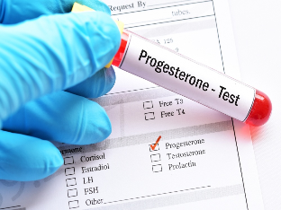 Уровень прогестерона при беременности – норма и отклонения